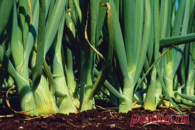 * * * * * * * * * * * *