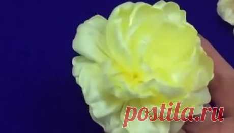 Пионы из лент
