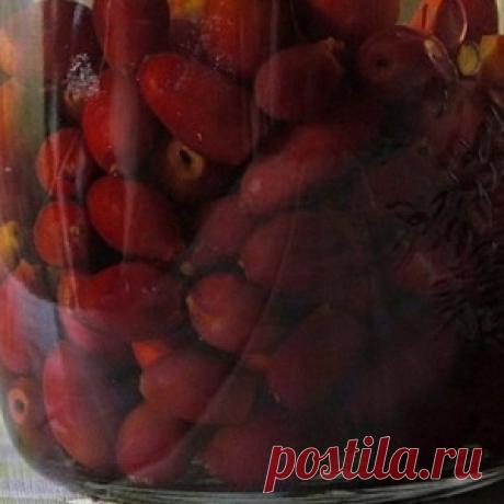 Настойка для желудка избавила от давления - МирТесен