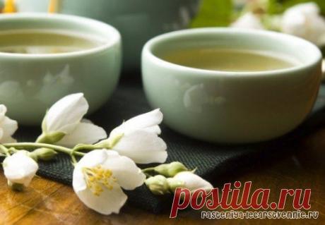 Здоровое питание » Популярно о здоровье