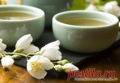 Здоровое питание » Популярно о здоровье