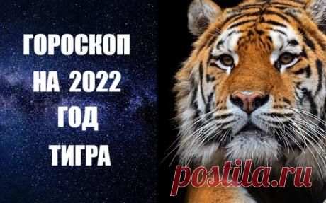 ЧИТАЙТЕ ГОРОСКОП НА 2022 ГОД ГОЛУБОГО ВОДЯНОГО ТИГРА -