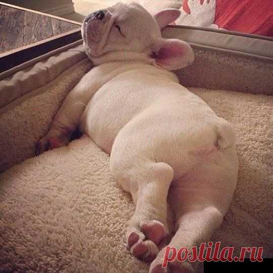 Пончик.