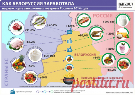 Разбитая колея | Политобоз