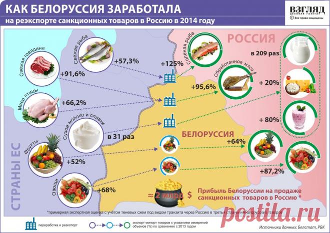 Разбитая колея | Политобоз
