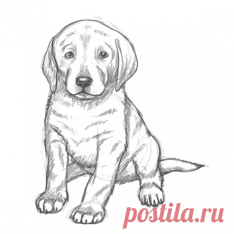 Рисунки карандашом для начинающих на 8 марта. - 21 May 2013 - Blog - Rasskrutisait