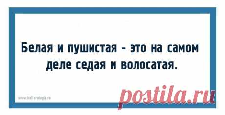ДЛЯ НЕИСПРАВИМЫХ ОПТИМИСТОВ! ЗАБАВНЫЕ ОТКРЫТКИ-НАБЛЮДЕНИЯ