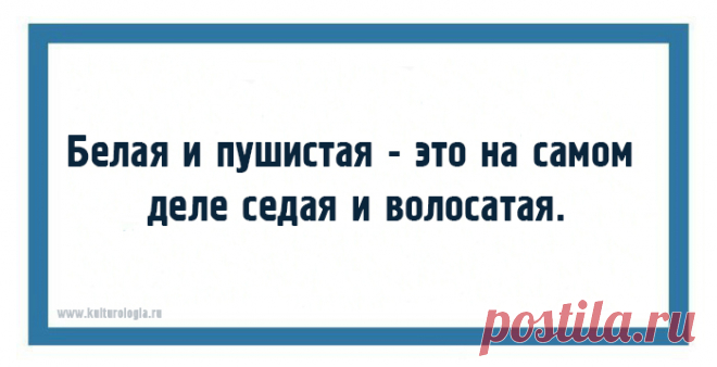 ДЛЯ НЕИСПРАВИМЫХ ОПТИМИСТОВ! ЗАБАВНЫЕ ОТКРЫТКИ-НАБЛЮДЕНИЯ