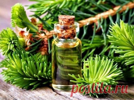 КОМПРЕСС ПРИ ОСТЕОХОНДРОЗЕ ДЛЯ ШЕИ И ПОЗВОНОЧНИКА

Ингредиенты для компресса:

- картошка сырая
- мед
- масло пихтовое

Как приготовить компресс:
Натираем сырую картошину на терочке (как можно мельче) и смешиваем в равных пропорциях с медом.

Затем накладываем смесь на шею и плечи, обмотав полиэтиленом и полотенечком или теплым шарфом.

Через 2 часа компресс снимаем, удаляем излишки салфеткой и чистую кожу смазываем маслом пихты.

Повторяем процедуру 10 дней.

Этот компрес...