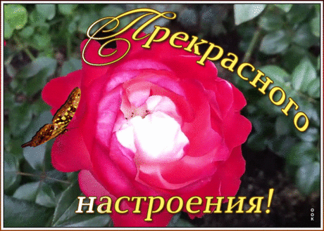 Хорошего настроения сегодня завтра и всегда