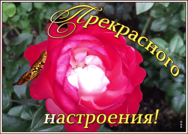 Хорошего настроения сегодня завтра и всегда