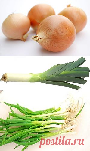 сообщение lika_nika : Полезные свойства лука (00:28 20-02-2014) [4151280/313957026] - vbifnrf@mail.ru - Почта Mail.Ru