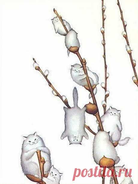 Вербные котики..