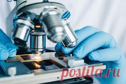 Найден новый способ лечения опасных бактериальных инфекций. Команда исследователей из Технологического института Джорджии (США) нашла новый способ лечения опасных бактериальных инфекций. Открытие ключевой РНК, кодирующей гены в бактерии, позволит лечить острые инфекции, которые были вызваны хроническим заражением синегнойной палочкой.