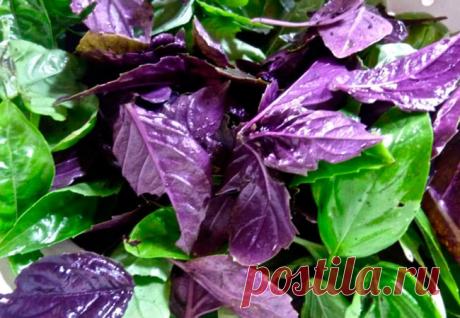 Утихомирить давление просто...