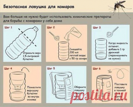 Одноклассники