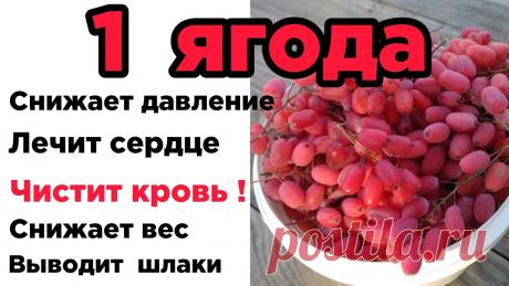 Этот  ОТВАР  пьют  ДОЛГОЖИТЕЛИ,  но  держат в секрете! Рада приветствовать вас на моем канале https://www.youtube.com/c/СОЛОМА❗️Мой Инстаграм:  https://www.instagram.com/soloma.psy/?hl=ruМой второй канал ВАСИЛЁК:...