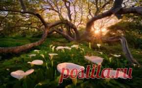 Природа обои на рабочий стол - страница 132