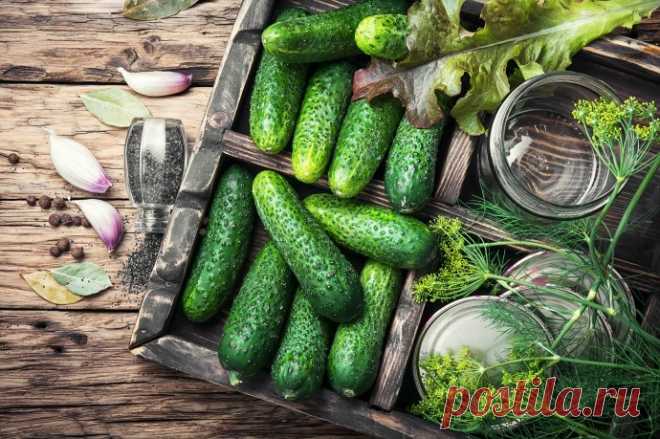 Хрустящие маринованные огурцы на зиму