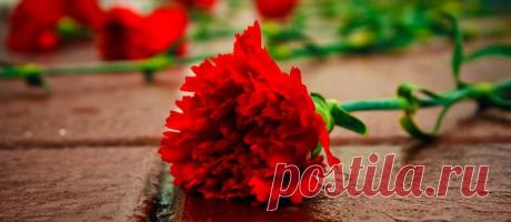 Как найти сведения о погибших в Великой Отечественной войне через Интернет | ТАЙНЫ ВСЕЛЕННОЙ