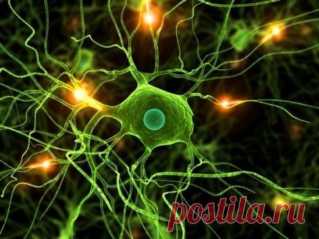 Как избавиться от онемения конечностей? — Мегаздоров