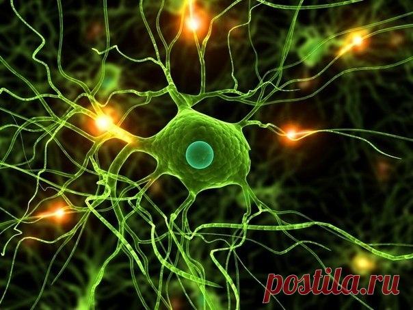 Как избавиться от онемения конечностей? — Мегаздоров