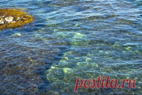 (50) Одноклассники