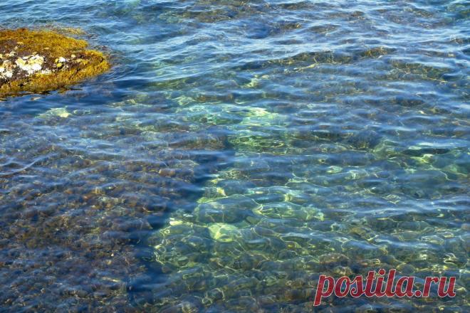 (50) Одноклассники