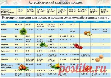 Когда сажать рассаду в 2019 году — лунный календарь дней посадки