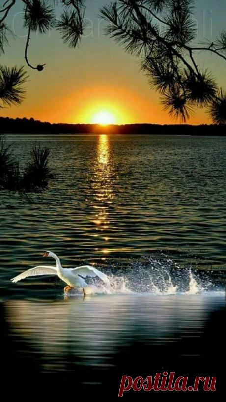 AHMAD ZAFFAR - Google+