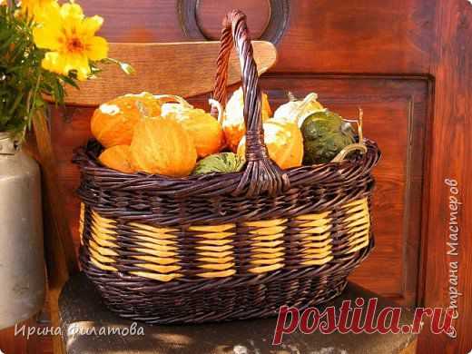 корзина из бумажной лозы