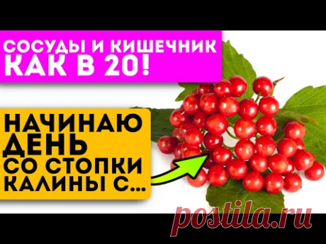 Советы от прабабки! Ни разу не была в больнице! Для ЖКТ, легких, сердца и даже…