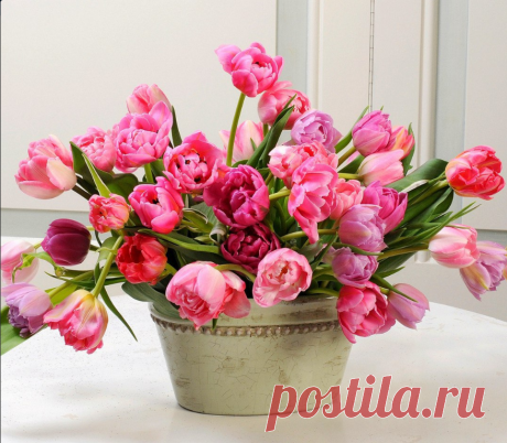 Фотографии на стене сообщества – 61 386 фотографий | ВКонтакте