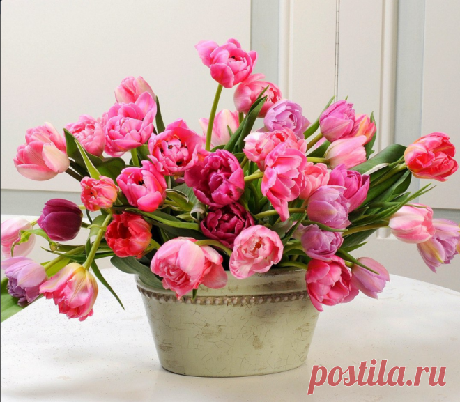 Фотографии на стене сообщества – 61 386 фотографий | ВКонтакте