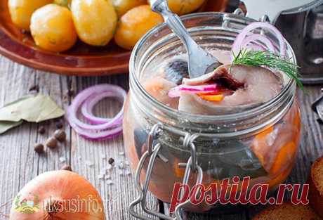 Скумбрия с уксусом и луком: маринуем вкусно дома