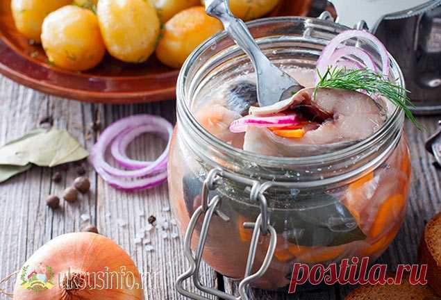 Скумбрия с уксусом и луком: маринуем вкусно дома