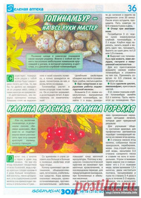 zoj-2014-18-36.jpg (800×1126)