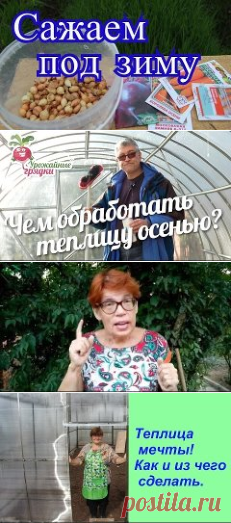 (51) Одноклассники