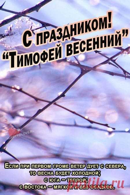 Тимофей Весновей! Здоровья и мира!