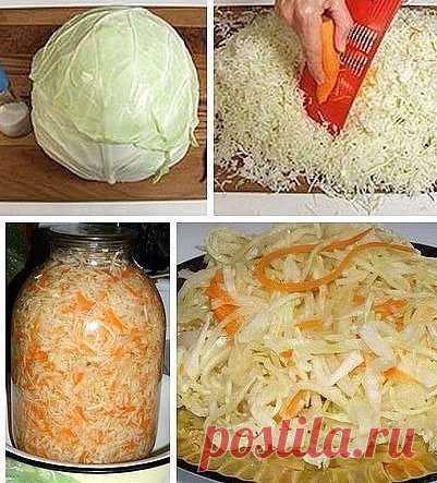 Быстрый рецепт квашеной капусты