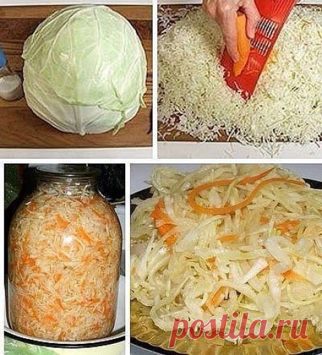 Быстрый рецепт квашеной капусты