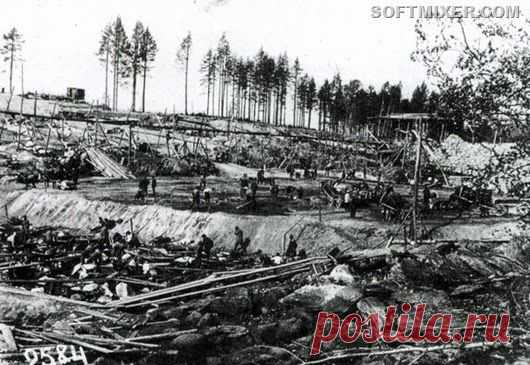 А началось всё осенью 1931 года.

...Глухие леса и болота Карелии от Повенца до Белого моря были разбужены небывалым шумом разворачивающейся стройки. Тысячи арестантов разного возраста, звания и происхождения, привезённые сюда в товарных вагонах со всей великой страны, под началом и охраной вооружённых людей рубили лес, строили бараки.
