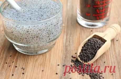 Полезные свойства семян базилика Сегодня человеку доступно множество продуктов питания, однако в этом изобилии он совершенно теряется и часто отдает предпочтение менее полезным, а иногда и очень вредным, зато знакомым продуктам.Поэто...