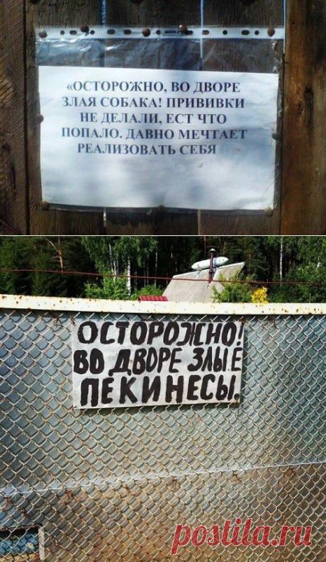 Смешные и забавные таблички-предупреждения о собаках во дворе (17 фото)