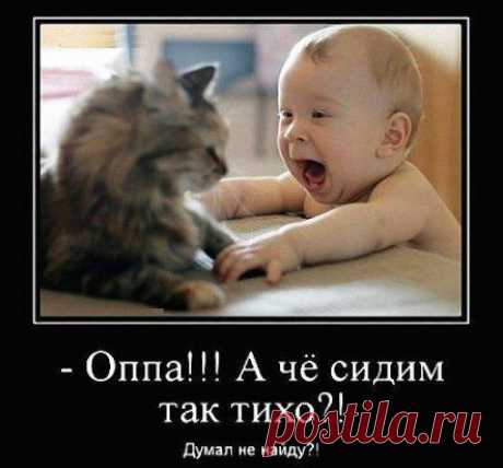 Требуются сотрудники на должность ИНФОРМАЦИОННЫЙ МЕНЕДЖЕР! Требования возраст 18-45 лет. График работы сводный.Наличие интернета. Зарплата каждые три недели! Компания легальная. Обучение бесплатное дистанционное! Кому интересно ставьте + в комментариях.