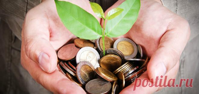 Комнатные растения, которые привлекают богатство в семь Комнатные растения, которые являются денежным талисманом: куда поставить и как ухаживать. Цветы, помогающие привлечь богатство в ваш дом.