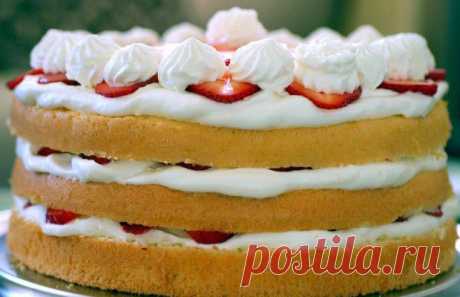 Торт с клубникой и взбитыми сливками