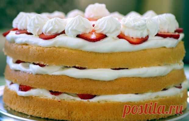 Торт с клубникой и взбитыми сливками