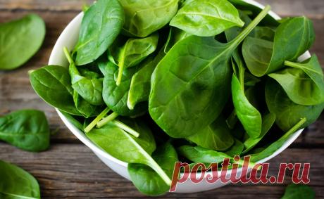 Желнов Александр