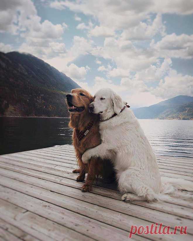 (87) Facebook